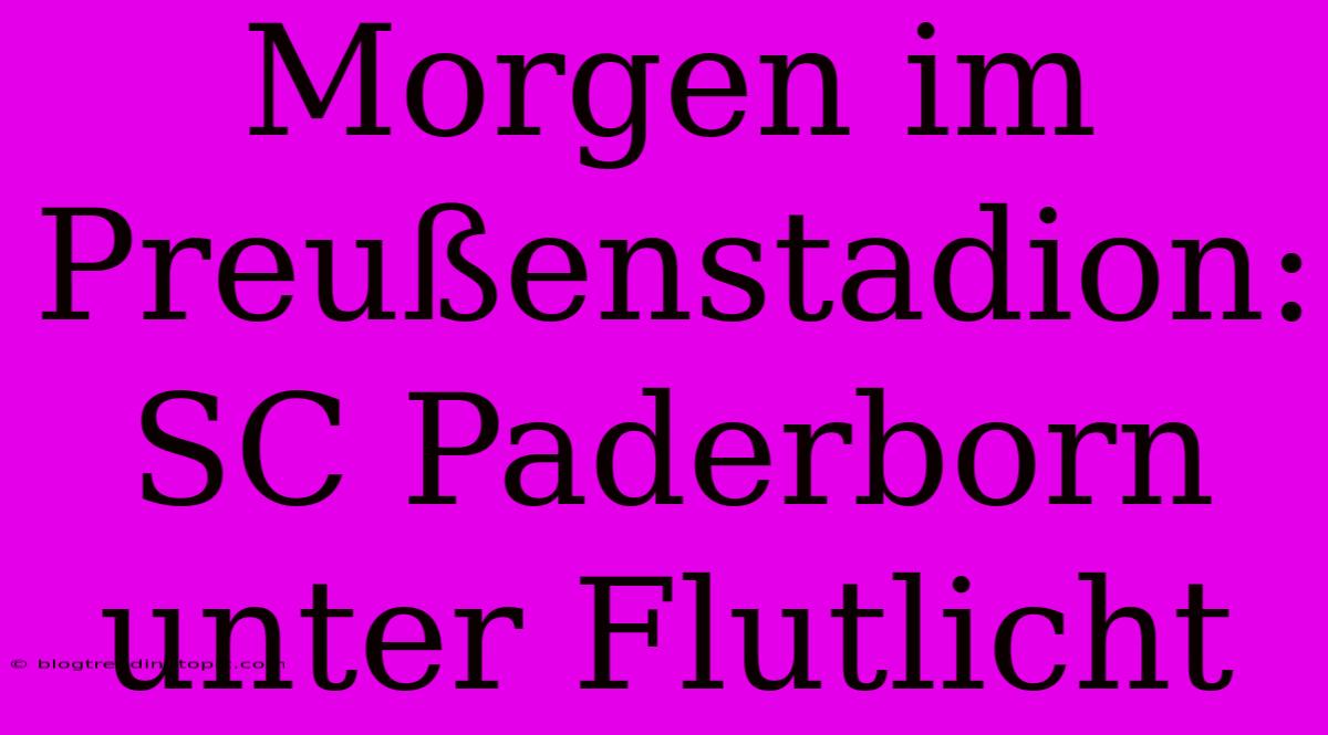 Morgen Im Preußenstadion: SC Paderborn Unter Flutlicht