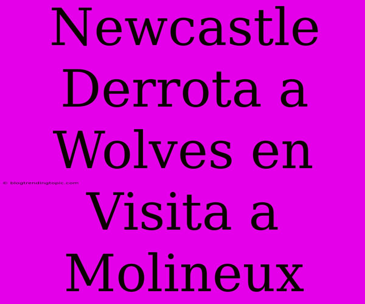 Newcastle Derrota A Wolves En Visita A Molineux