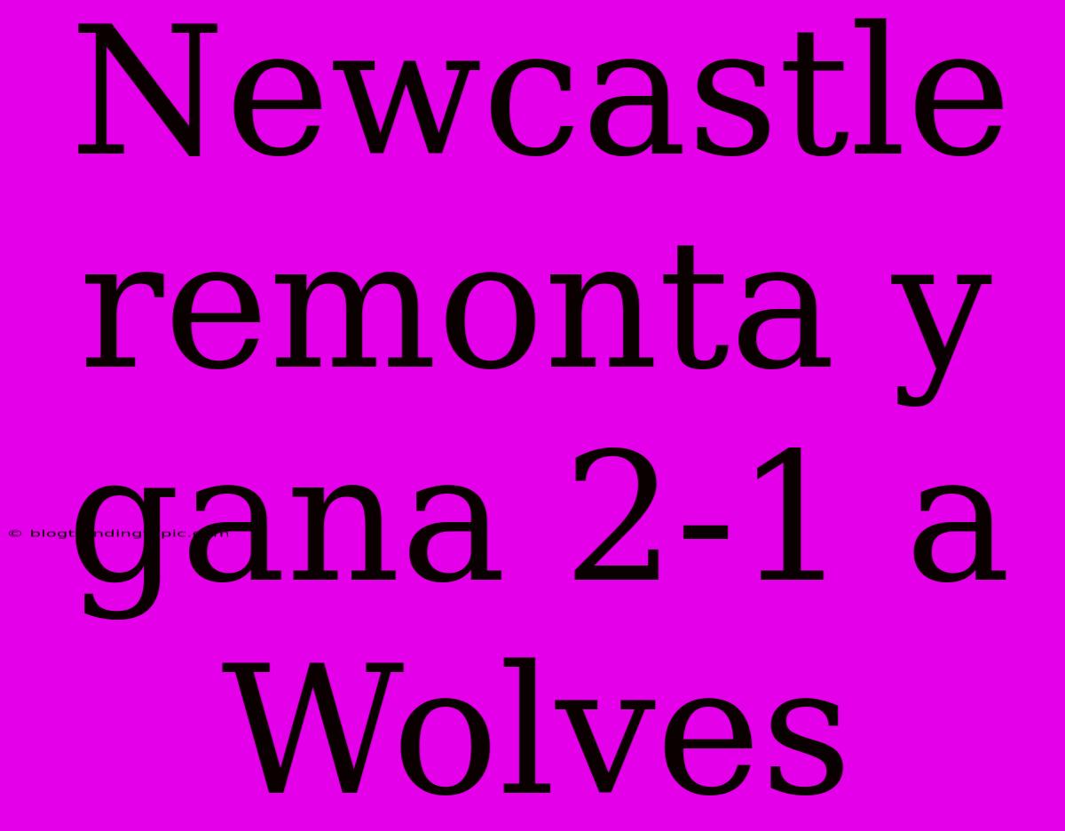 Newcastle Remonta Y Gana 2-1 A Wolves