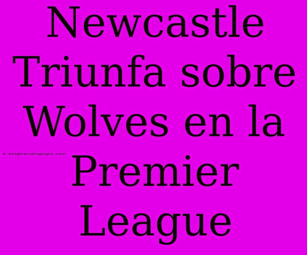 Newcastle Triunfa Sobre Wolves En La Premier League