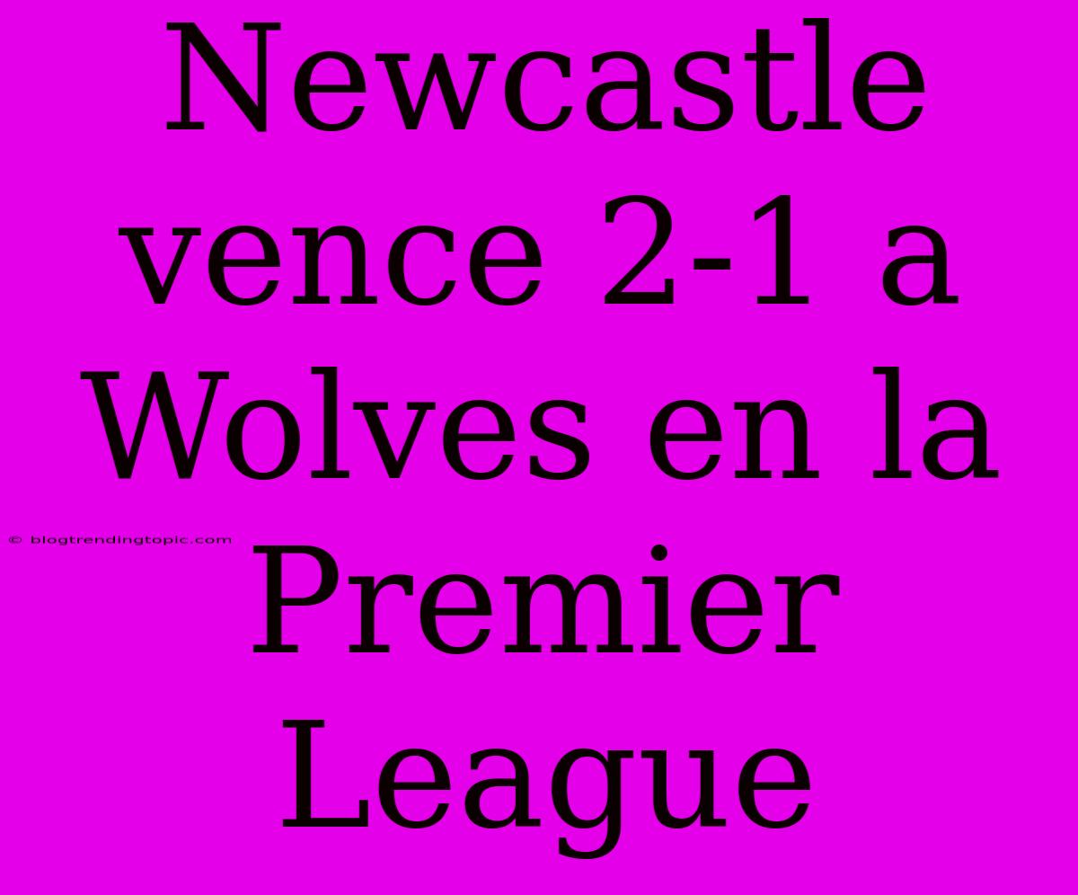 Newcastle Vence 2-1 A Wolves En La Premier League