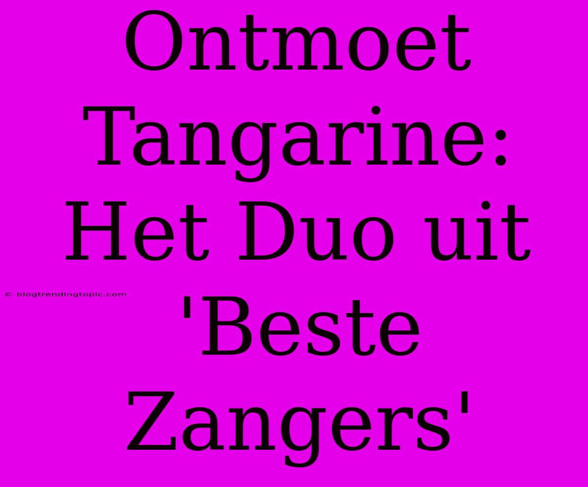 Ontmoet Tangarine: Het Duo Uit 'Beste Zangers'