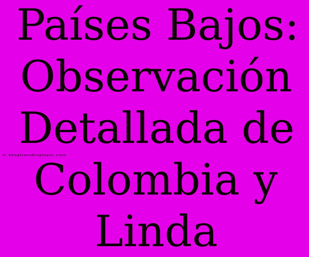 Países Bajos: Observación Detallada De Colombia Y Linda