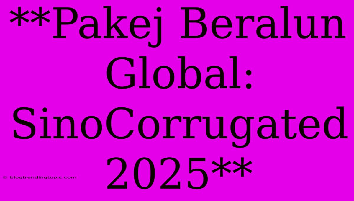 **Pakej Beralun Global: SinoCorrugated 2025** 