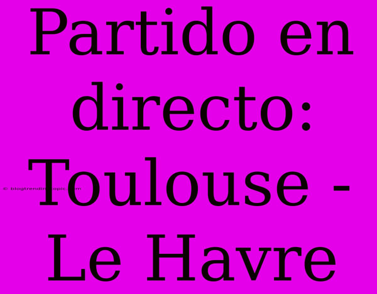 Partido En Directo: Toulouse - Le Havre