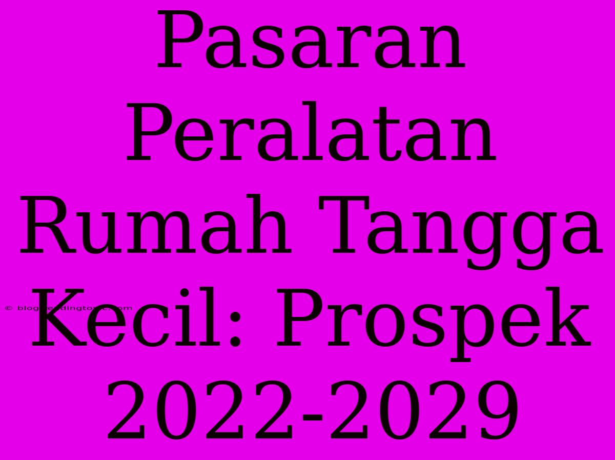 Pasaran Peralatan Rumah Tangga Kecil: Prospek 2022-2029