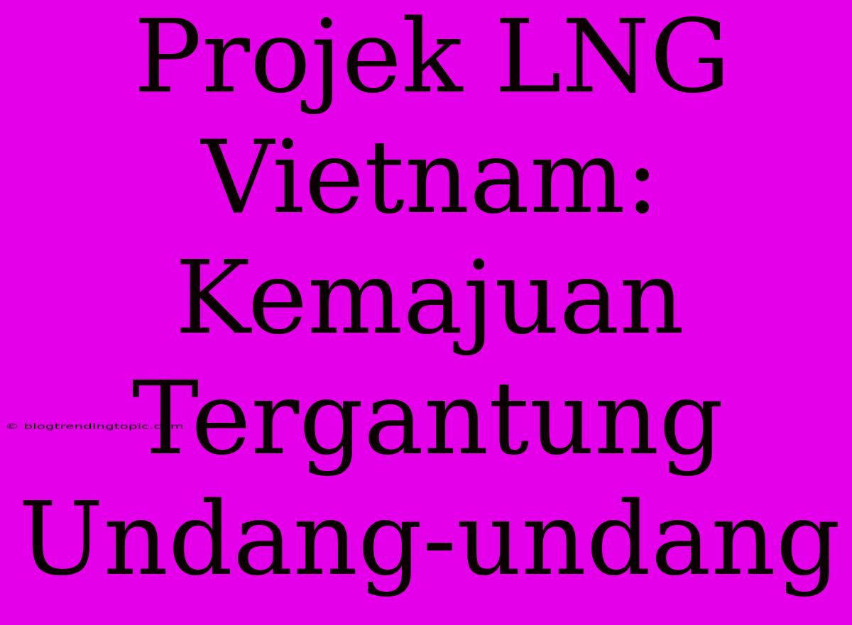 Projek LNG Vietnam: Kemajuan Tergantung Undang-undang