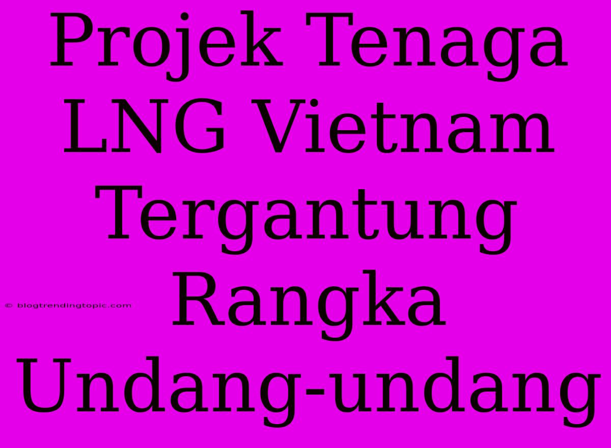 Projek Tenaga LNG Vietnam Tergantung Rangka Undang-undang