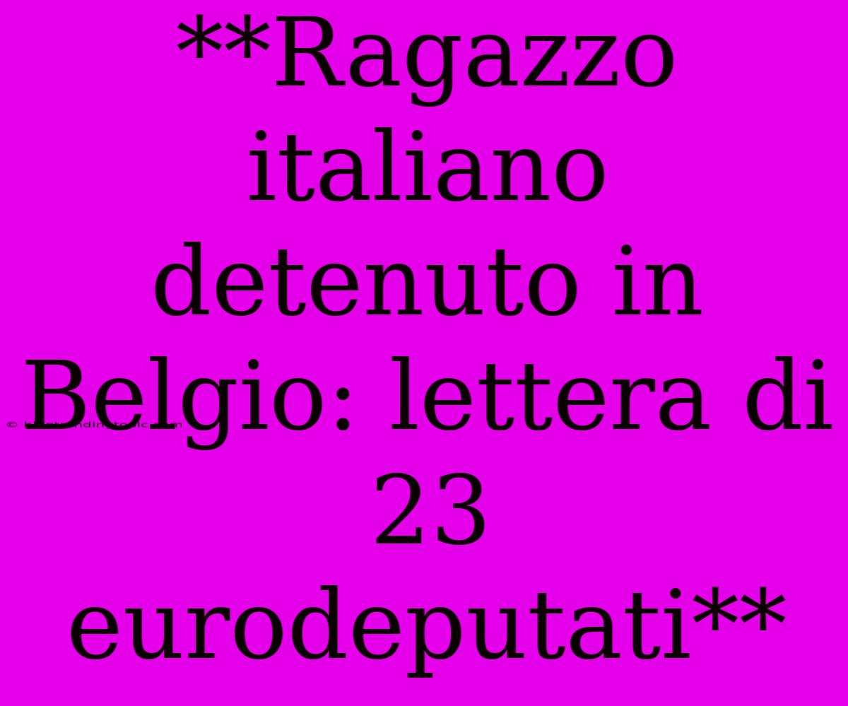 **Ragazzo Italiano Detenuto In Belgio: Lettera Di 23 Eurodeputati**