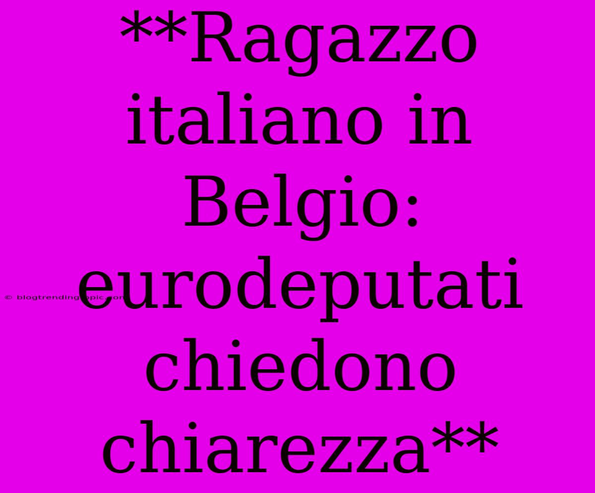 **Ragazzo Italiano In Belgio: Eurodeputati Chiedono Chiarezza** 