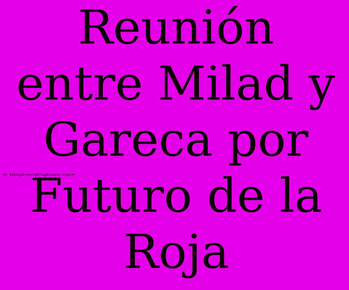 Reunión Entre Milad Y Gareca Por Futuro De La Roja