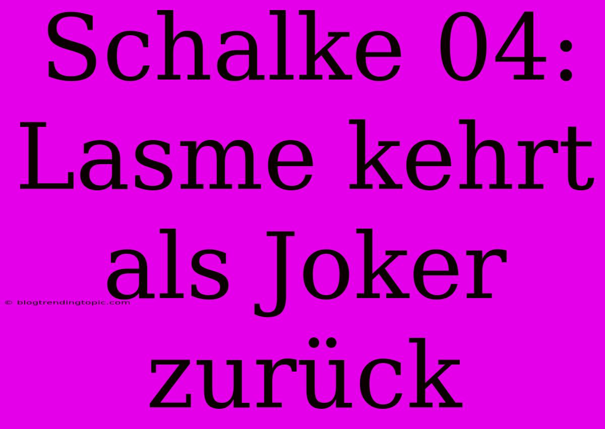 Schalke 04: Lasme Kehrt Als Joker Zurück