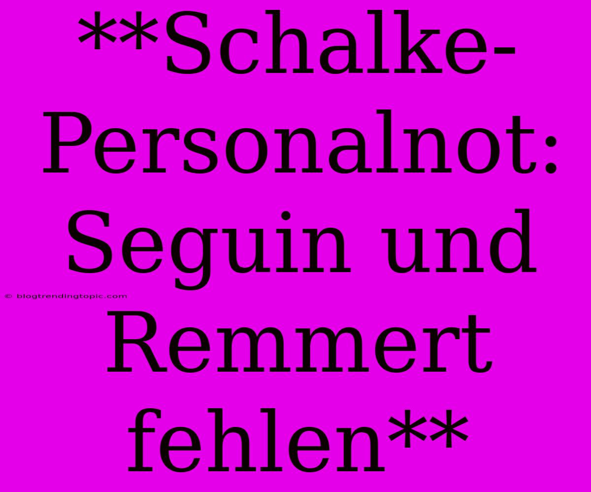 **Schalke-Personalnot: Seguin Und Remmert Fehlen**