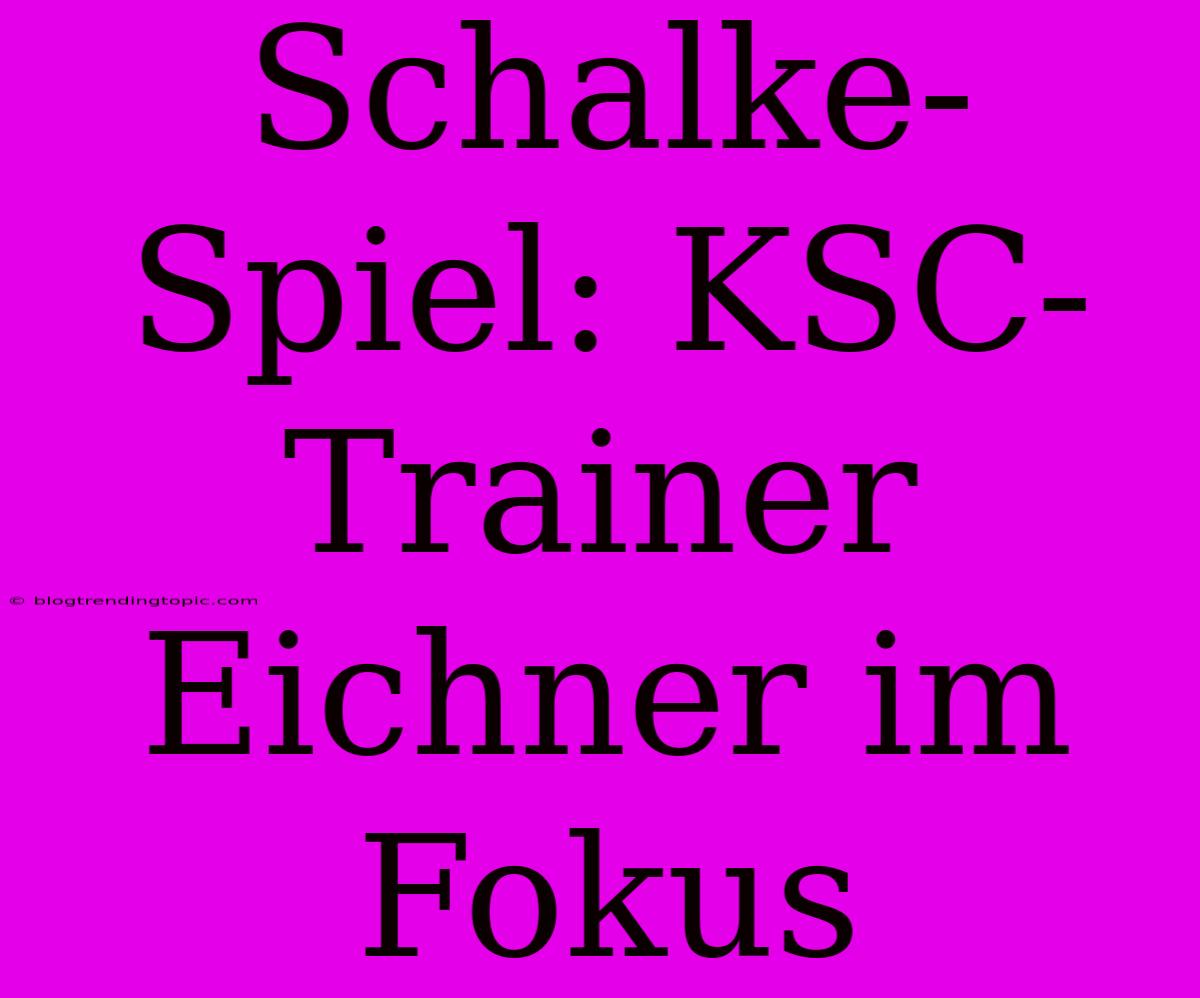 Schalke-Spiel: KSC-Trainer Eichner Im Fokus