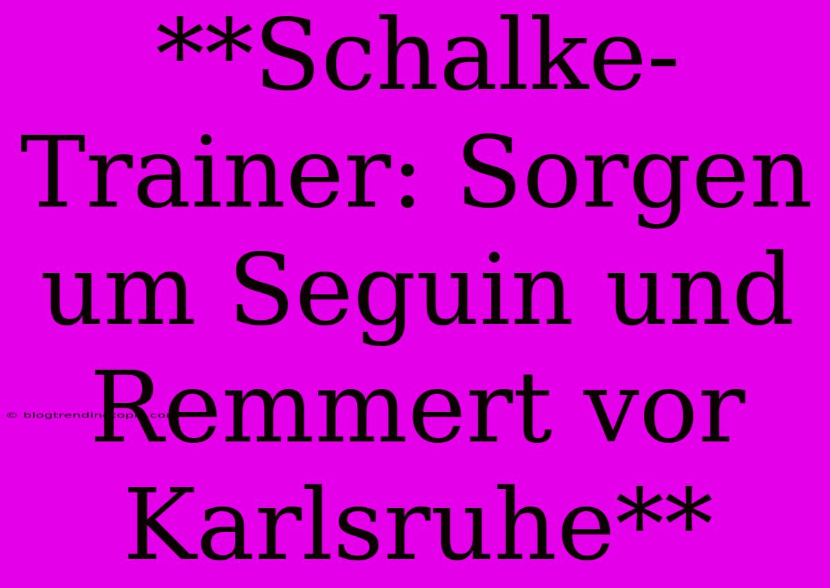 **Schalke-Trainer: Sorgen Um Seguin Und Remmert Vor Karlsruhe** 