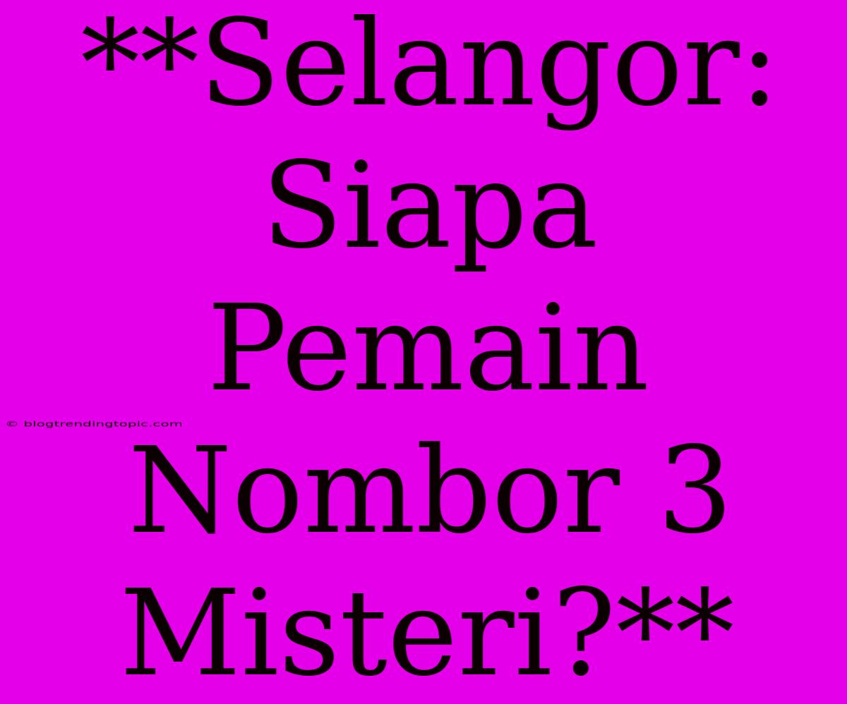 **Selangor: Siapa Pemain Nombor 3 Misteri?**