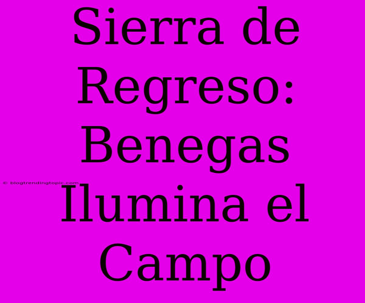 Sierra De Regreso: Benegas Ilumina El Campo