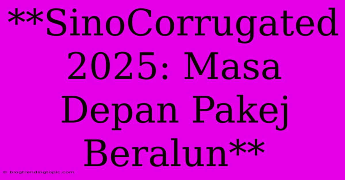 **SinoCorrugated 2025: Masa Depan Pakej Beralun**