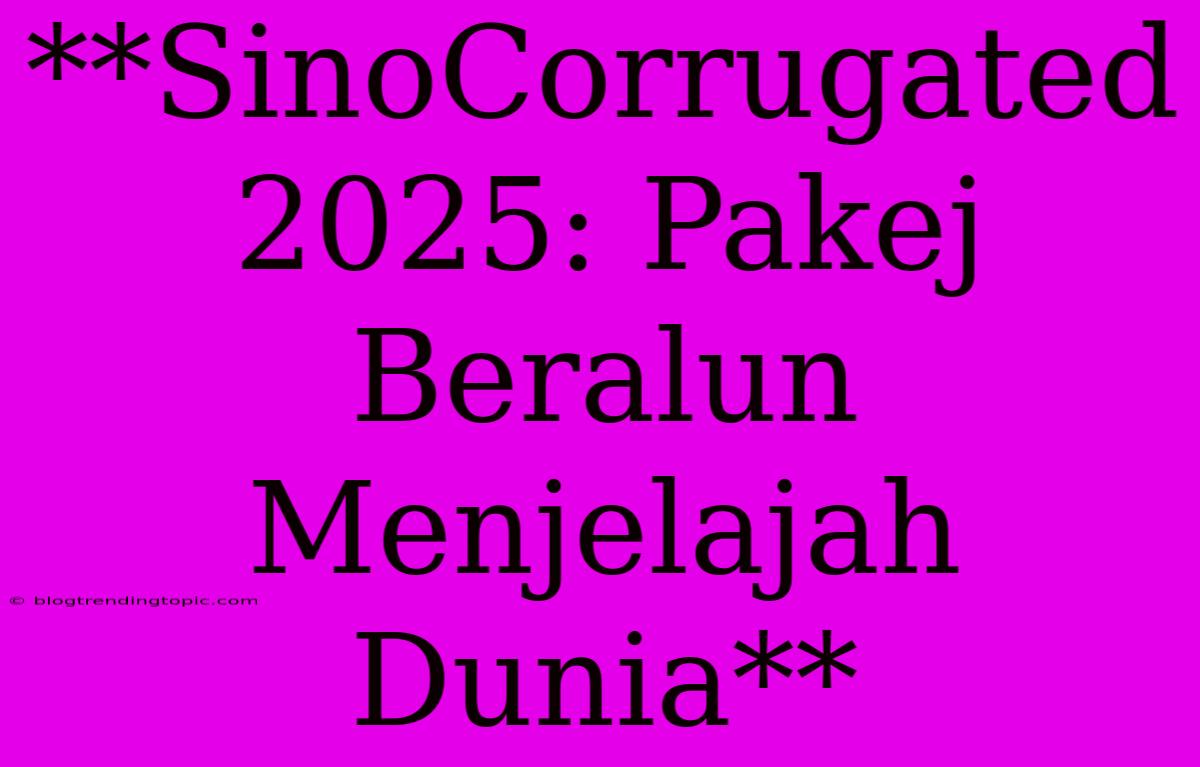 **SinoCorrugated 2025: Pakej Beralun Menjelajah Dunia**