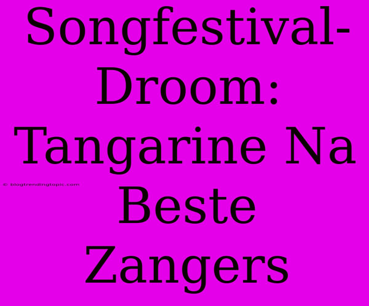 Songfestival-Droom: Tangarine Na Beste Zangers