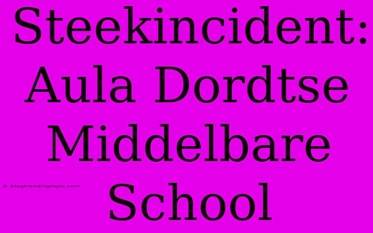 Steekincident: Aula Dordtse Middelbare School