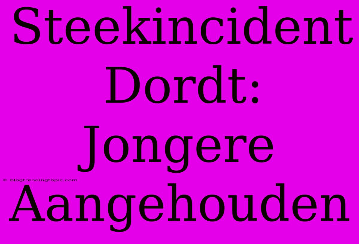 Steekincident Dordt: Jongere Aangehouden 