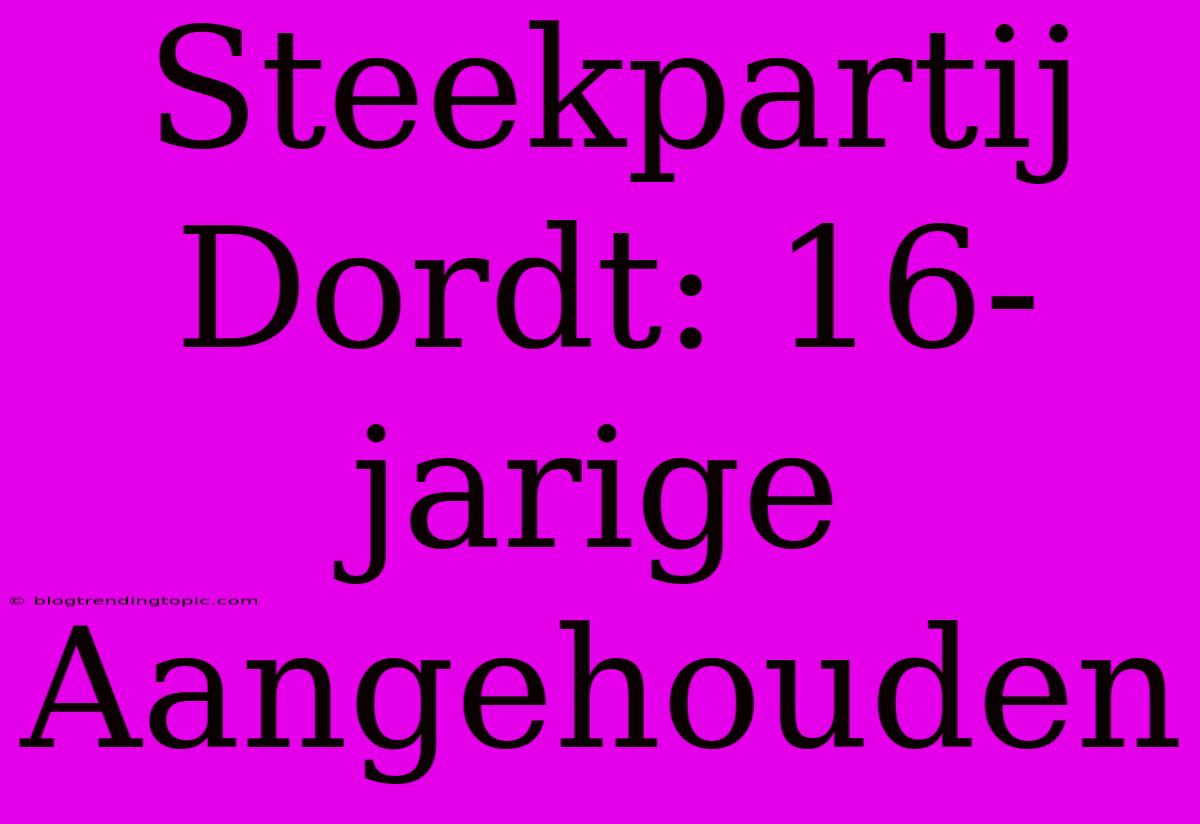 Steekpartij Dordt: 16-jarige Aangehouden