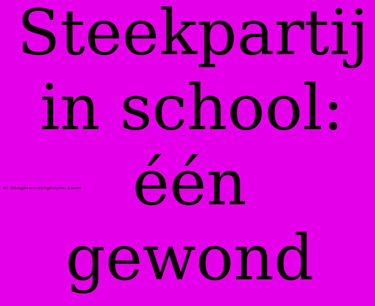 Steekpartij In School: Één Gewond