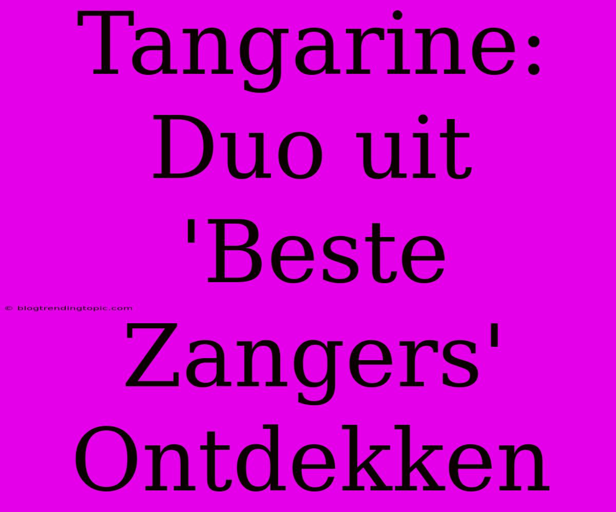 Tangarine: Duo Uit 'Beste Zangers' Ontdekken