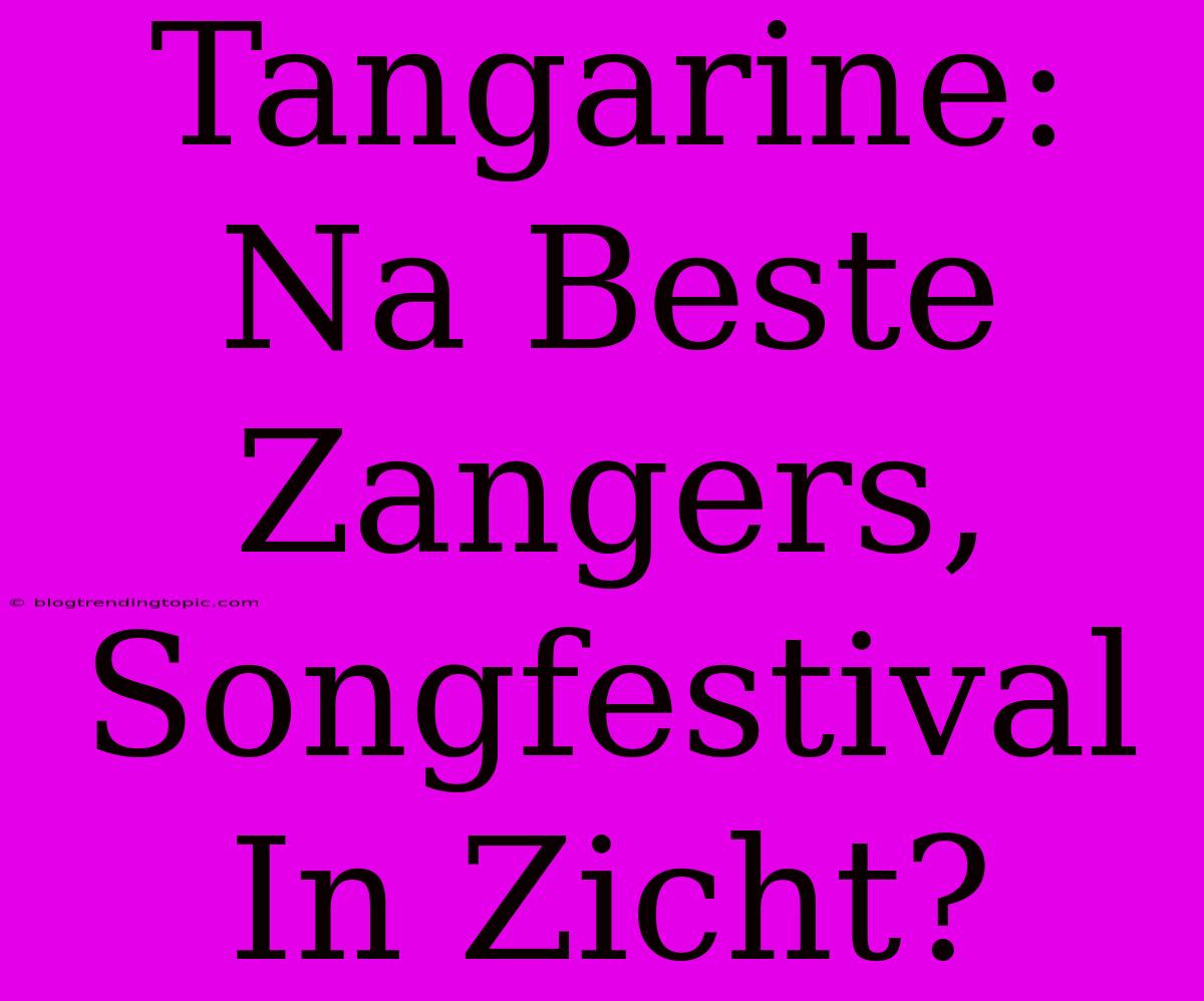 Tangarine: Na Beste Zangers, Songfestival In Zicht?