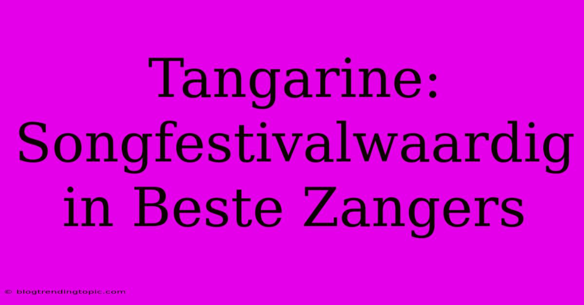 Tangarine: Songfestivalwaardig In Beste Zangers