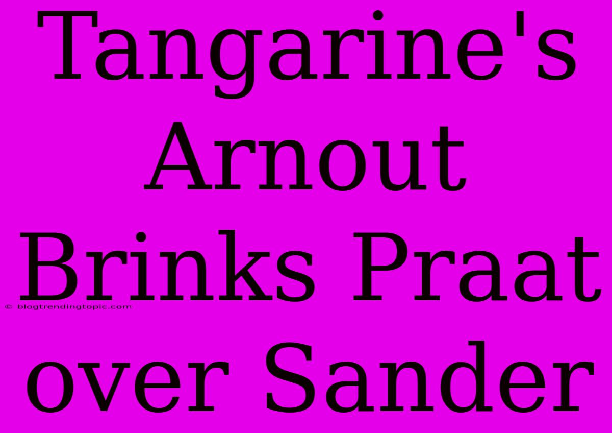 Tangarine's Arnout Brinks Praat Over Sander