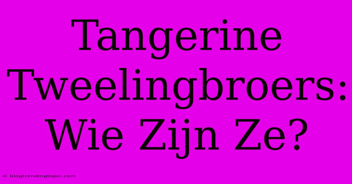 Tangerine Tweelingbroers: Wie Zijn Ze?