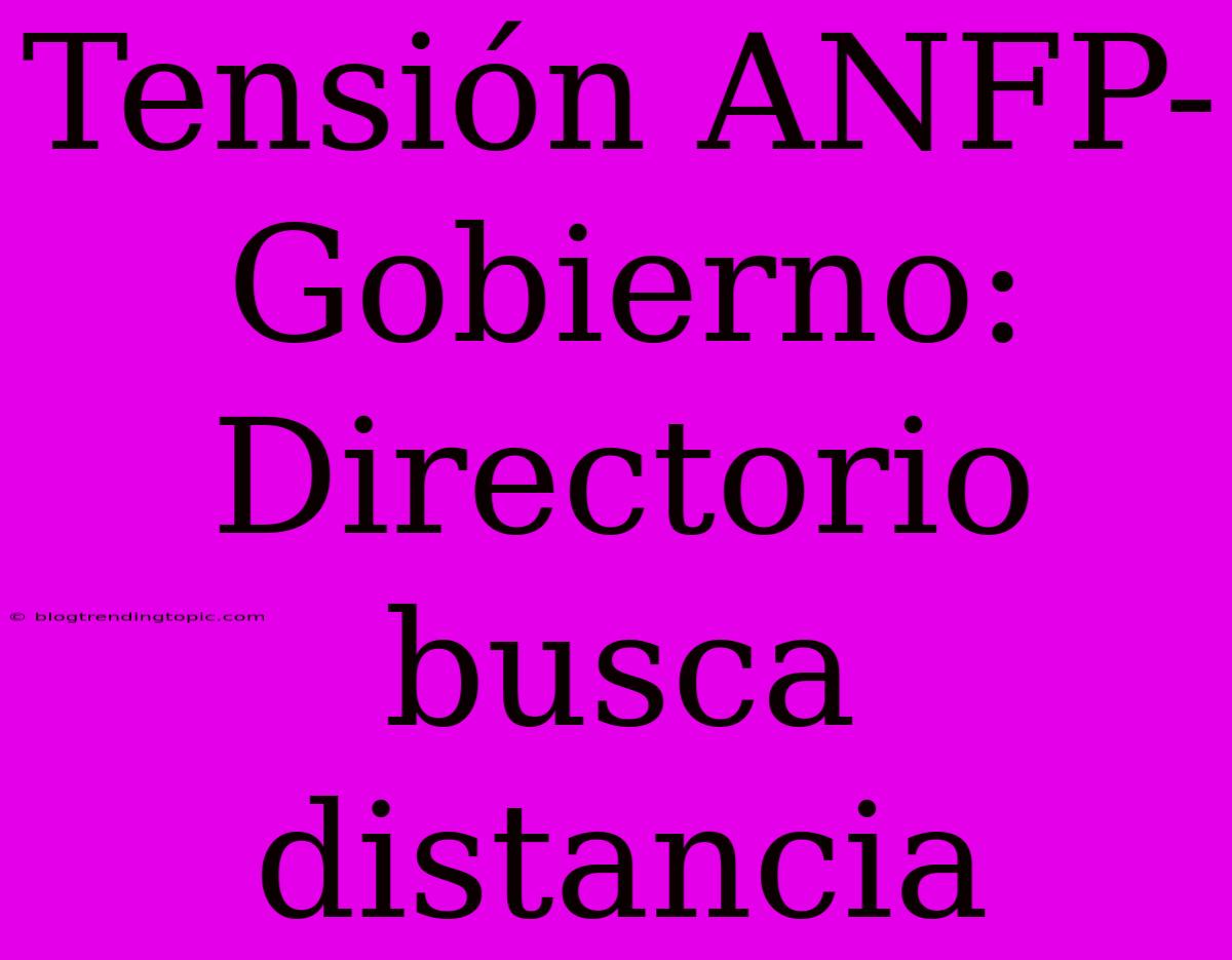 Tensión ANFP-Gobierno: Directorio Busca Distancia