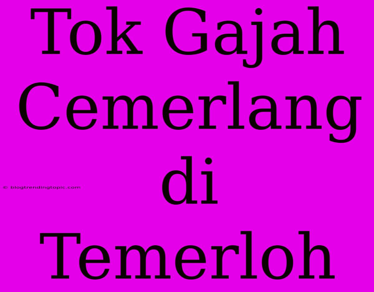 Tok Gajah Cemerlang Di Temerloh