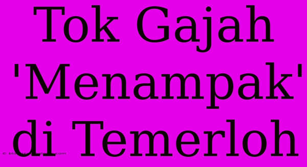 Tok Gajah 'Menampak' Di Temerloh