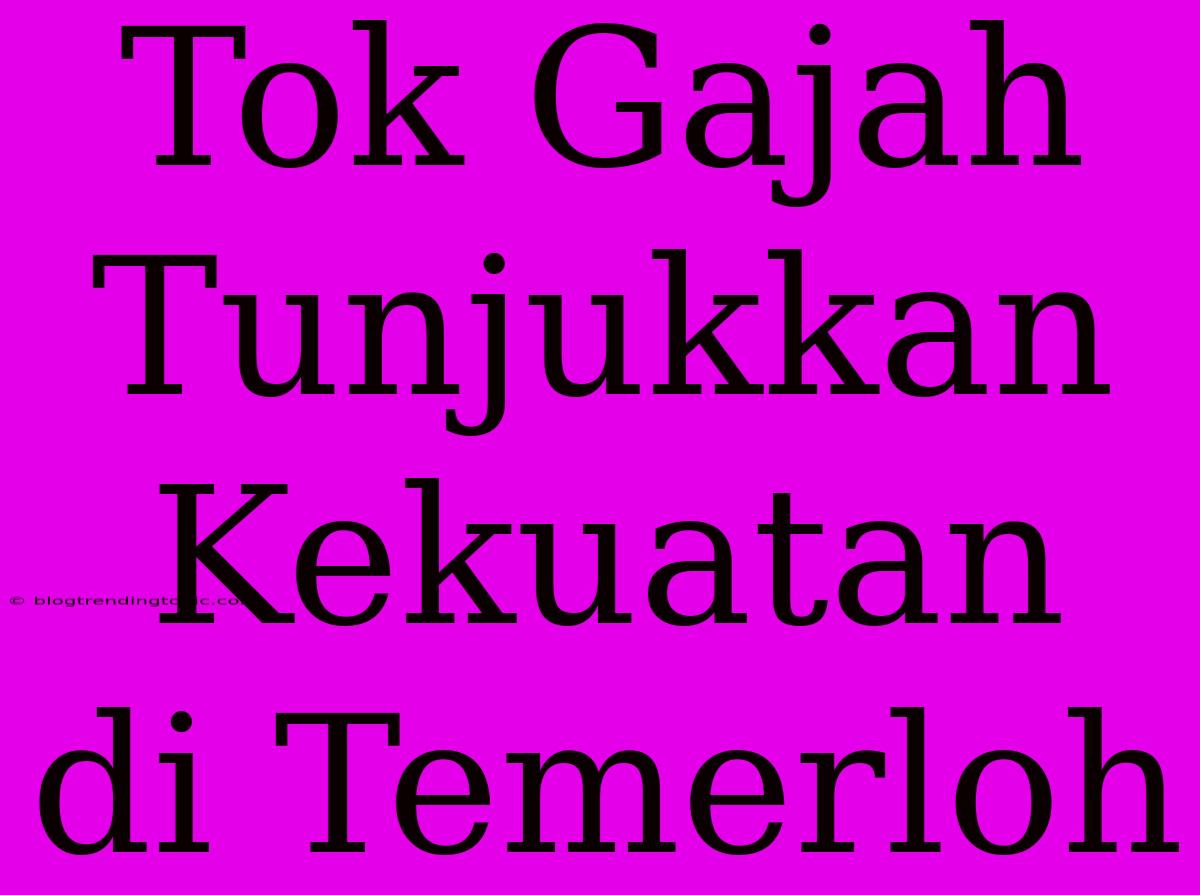 Tok Gajah Tunjukkan Kekuatan Di Temerloh