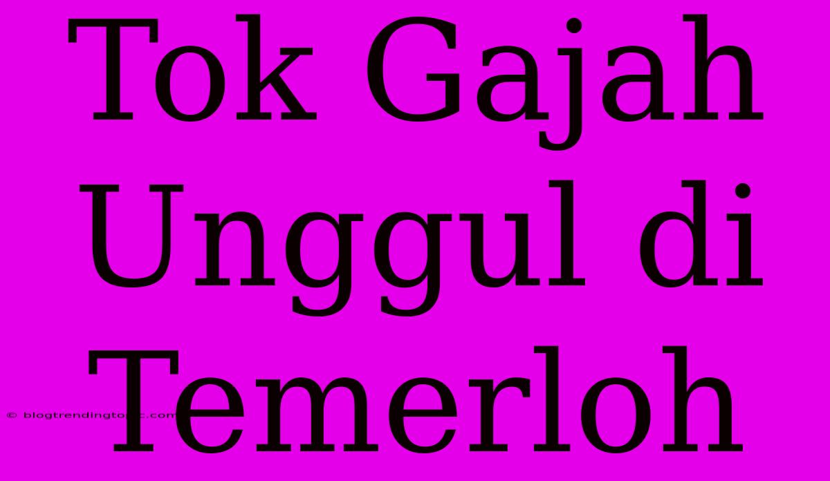 Tok Gajah Unggul Di Temerloh