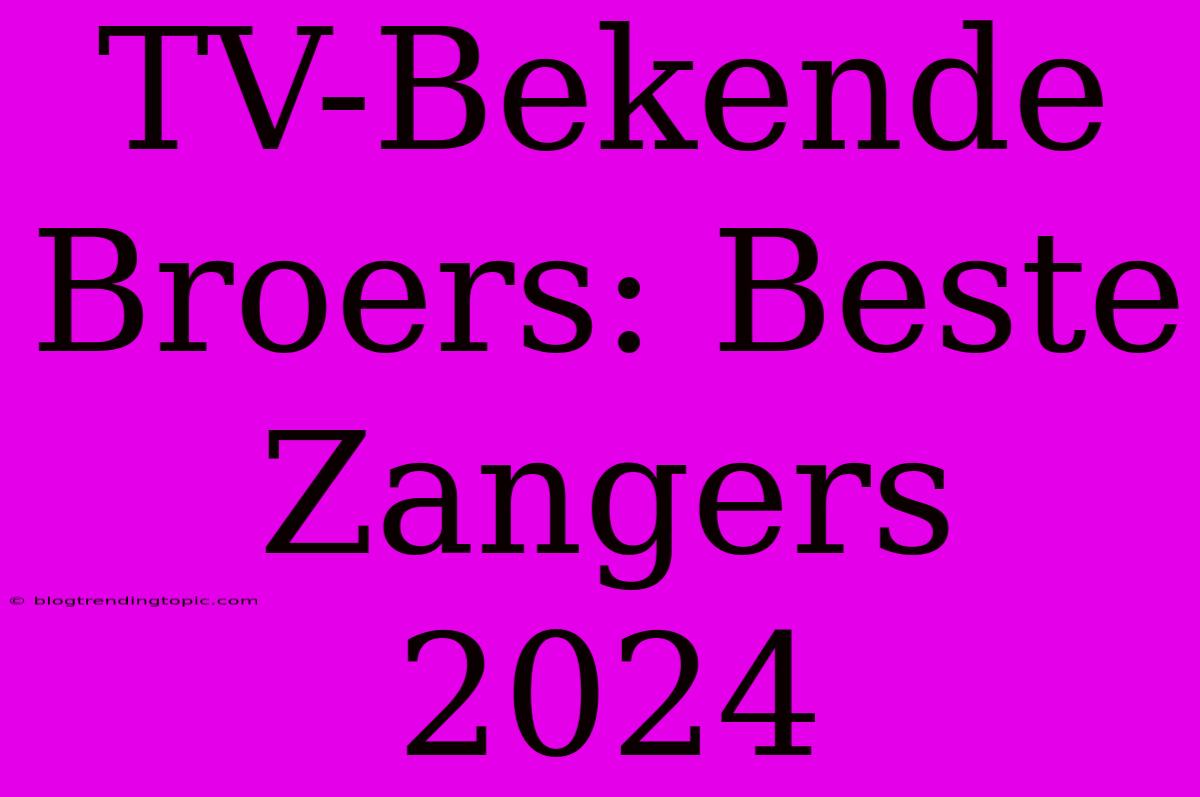 TV-Bekende Broers: Beste Zangers 2024