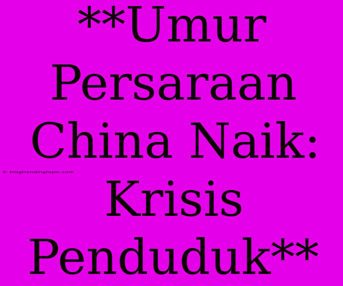 **Umur Persaraan China Naik: Krisis Penduduk**