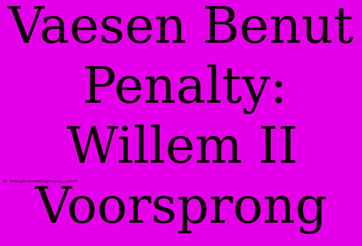 Vaesen Benut Penalty: Willem II Voorsprong