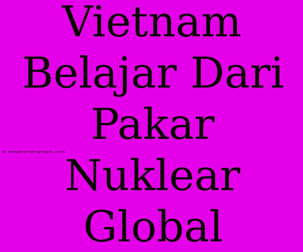 Vietnam Belajar Dari Pakar Nuklear Global