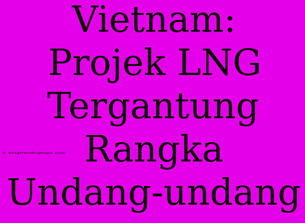 Vietnam: Projek LNG Tergantung Rangka Undang-undang