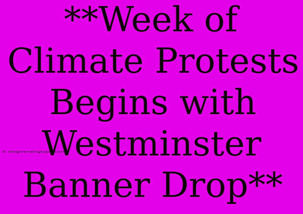 **Week Of Climate Protests Begins With Westminster Banner Drop**