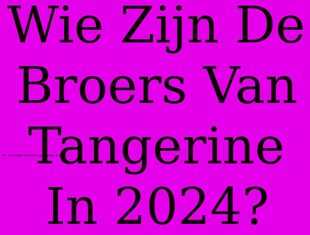 Wie Zijn De Broers Van Tangerine In 2024?