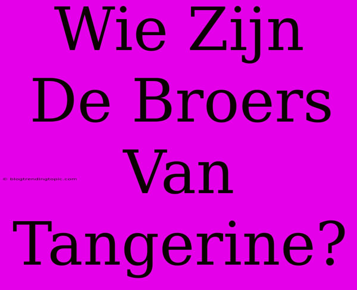 Wie Zijn De Broers Van Tangerine?