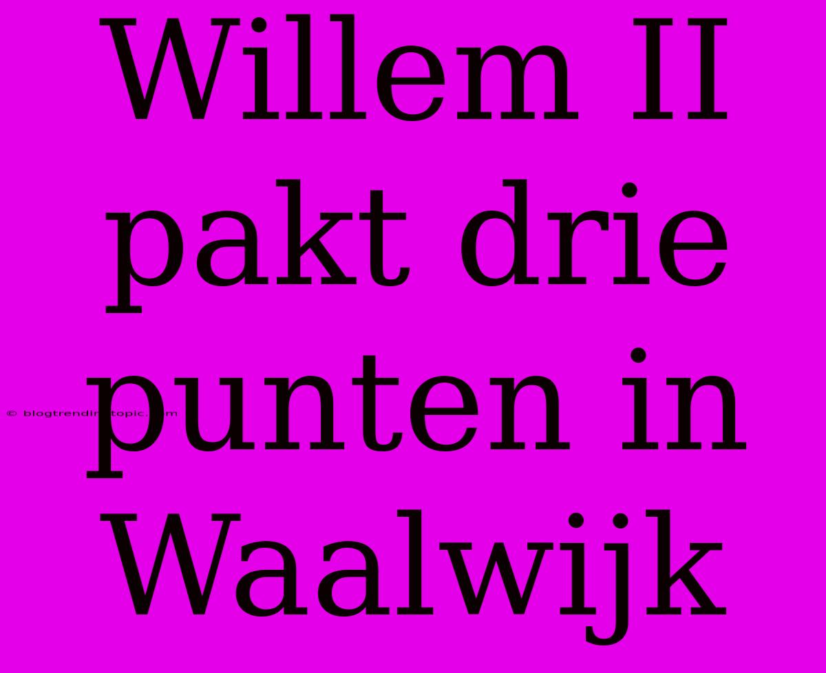 Willem II Pakt Drie Punten In Waalwijk