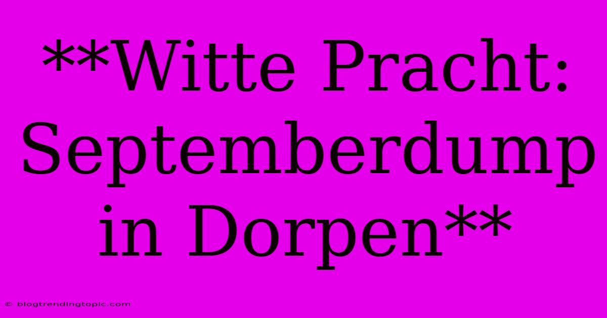 **Witte Pracht: Septemberdump In Dorpen**