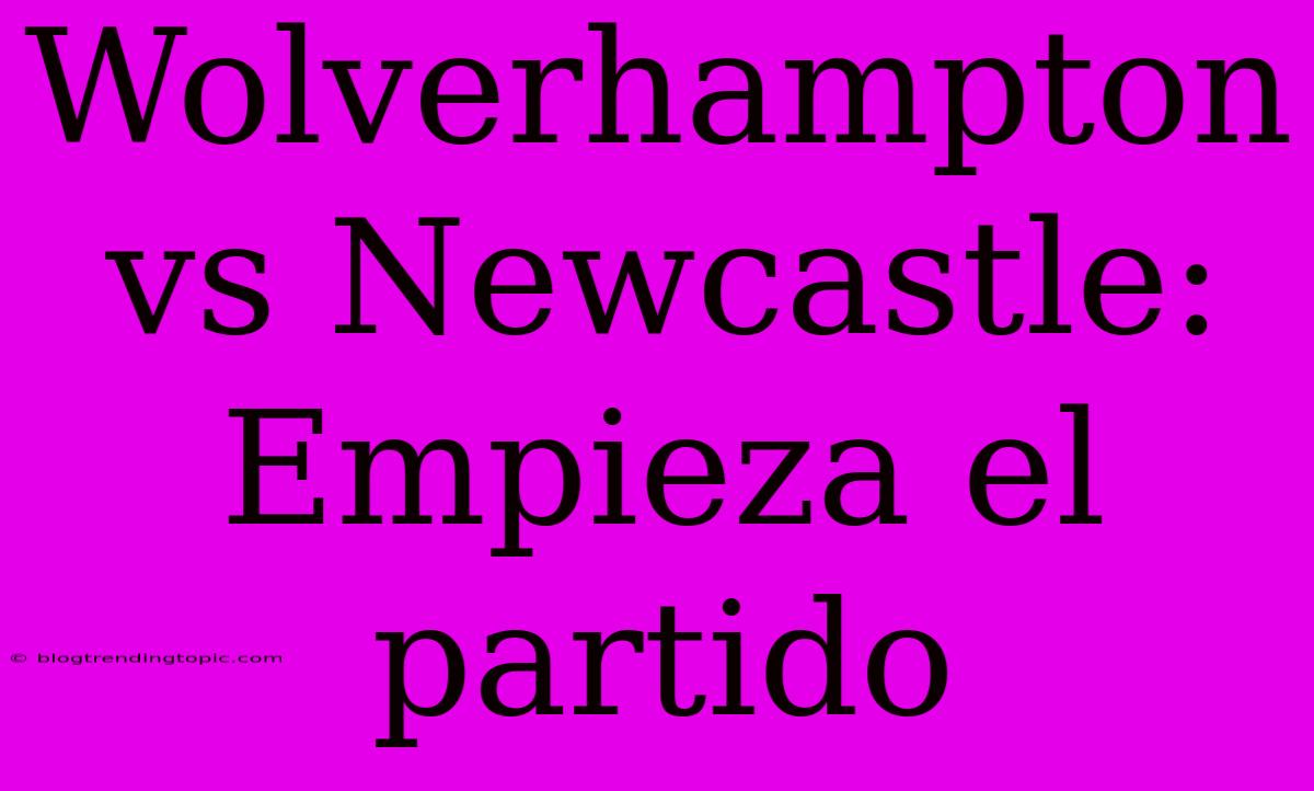 Wolverhampton Vs Newcastle: Empieza El Partido